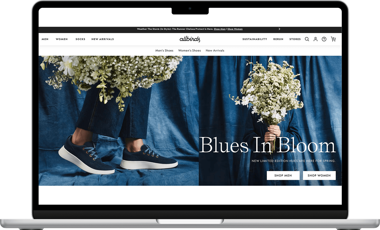 ตัวอย่างเว็บไซต์ allbirds